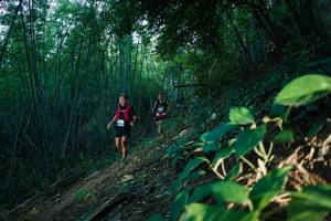 BIB: 
                            <button type="button" onclick="openModal(28124391)" class="btn btn-primary btn-sm float-right btn-popup" data-toggle="modal" data-target=".modal-high-quality">
                        <i class="fas fa-shopping-cart"></i> Add to Cart
                    </button>
                                            <button type="button" onclick="isThisMe(28124391, true)" class="btn btn-success btn-sm float-right btn-popup btn-isme hidden" data-toggle="tooltip" data-placement="bottom" title="นี่คือรูปของคุณใช่ไหม คลิกที่นี่เพื่อเอาเข้าอัลบั้ม">
                        <i class="fas fa-plus"></i> Add to album
                    </button>
                    <button type="button" onclick="isThisMe(28124391, false)" class="btn btn-warning btn-sm float-right btn-popup btn-isnotme hidden">
                        <i class="fas fa-ban"></i> Remove from album
                    </button>